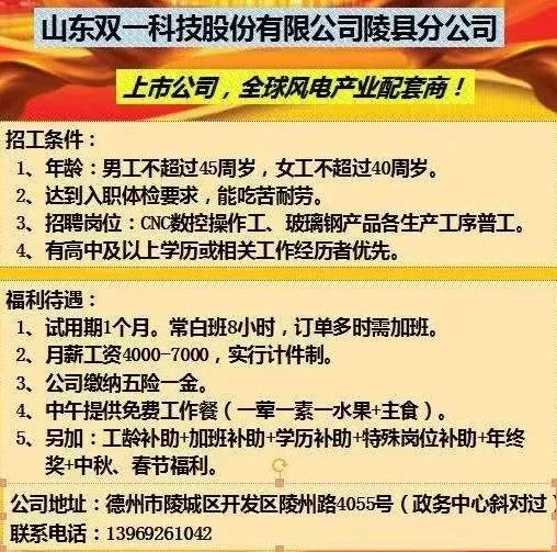 胶南招聘网最新招聘动态及职位分析