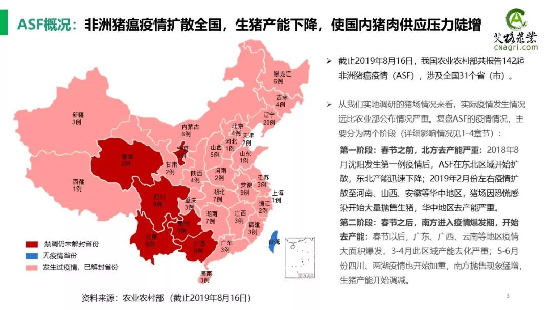 最新猪瘟疫情深度分析与观点阐述
