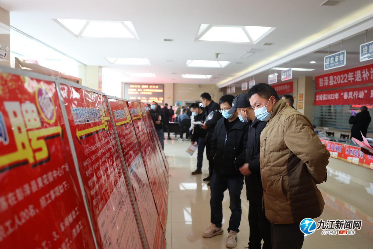 上街最新招聘信息解析，观点阐述与深度分析