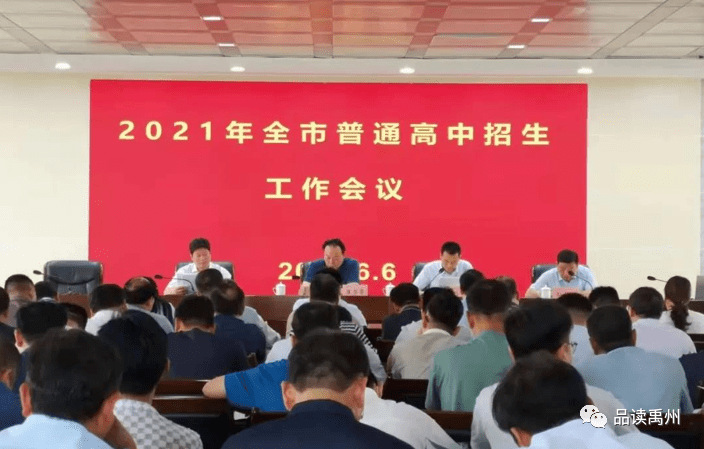 辛集最新招聘信息揭秘，小巷中的职业机遇探索