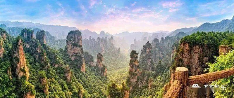 最新品牌手机，连接世界，励志之旅启程