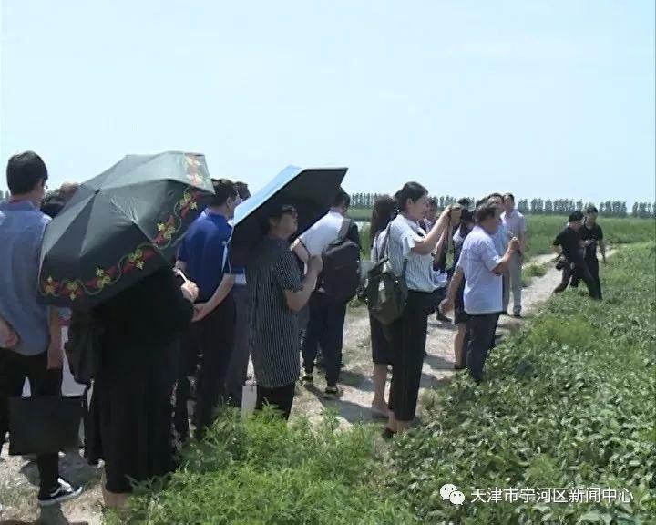 探索最新网站魅力与趋势，热门站点更新速递