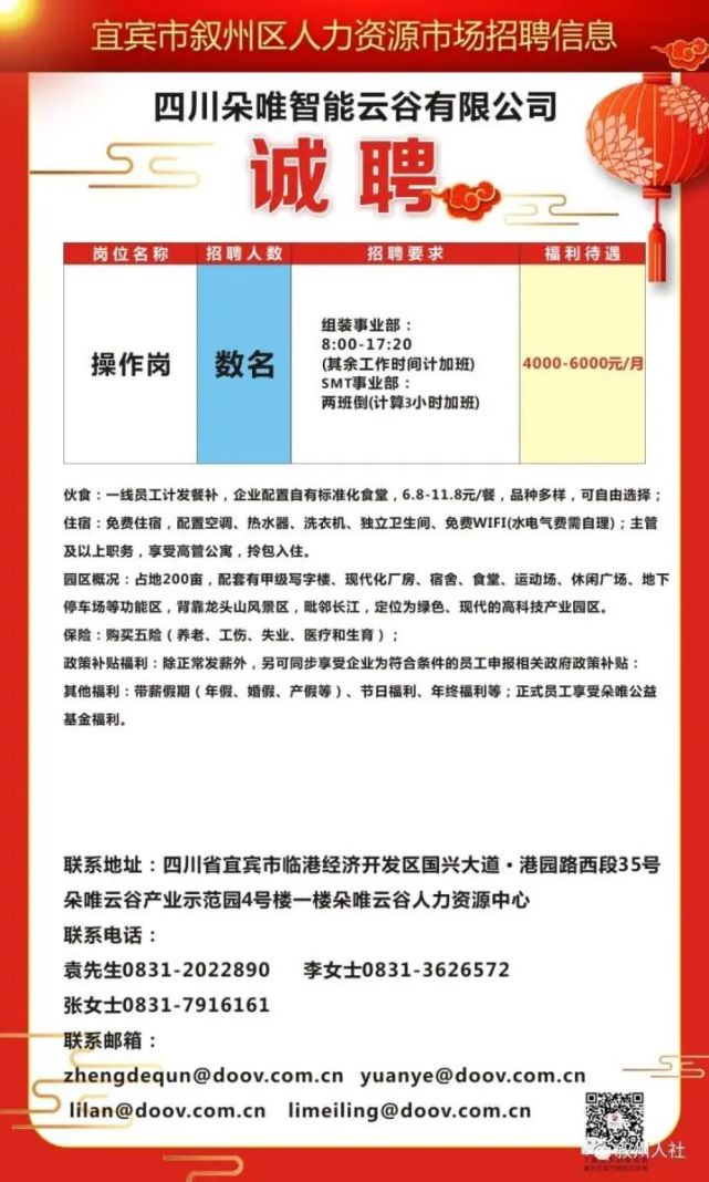 宾县最新招聘信息大全，职场人士求职指南