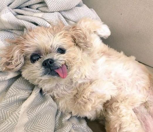 最新Instagram下载，探索自然美景之旅，寻找内心的平和宁静之旅