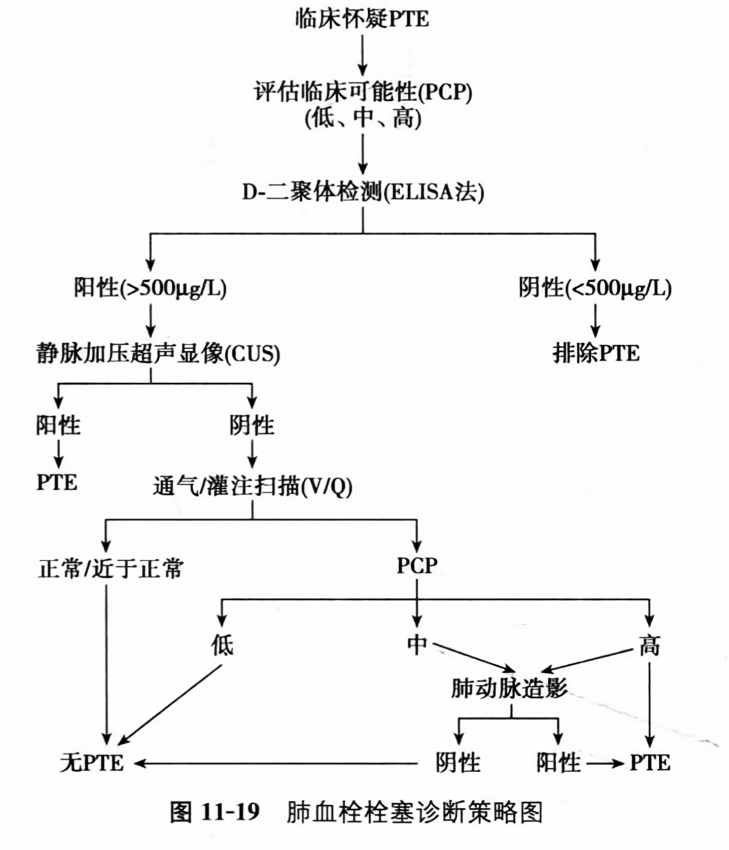 肺栓塞最新指南观点深度阐述与解读