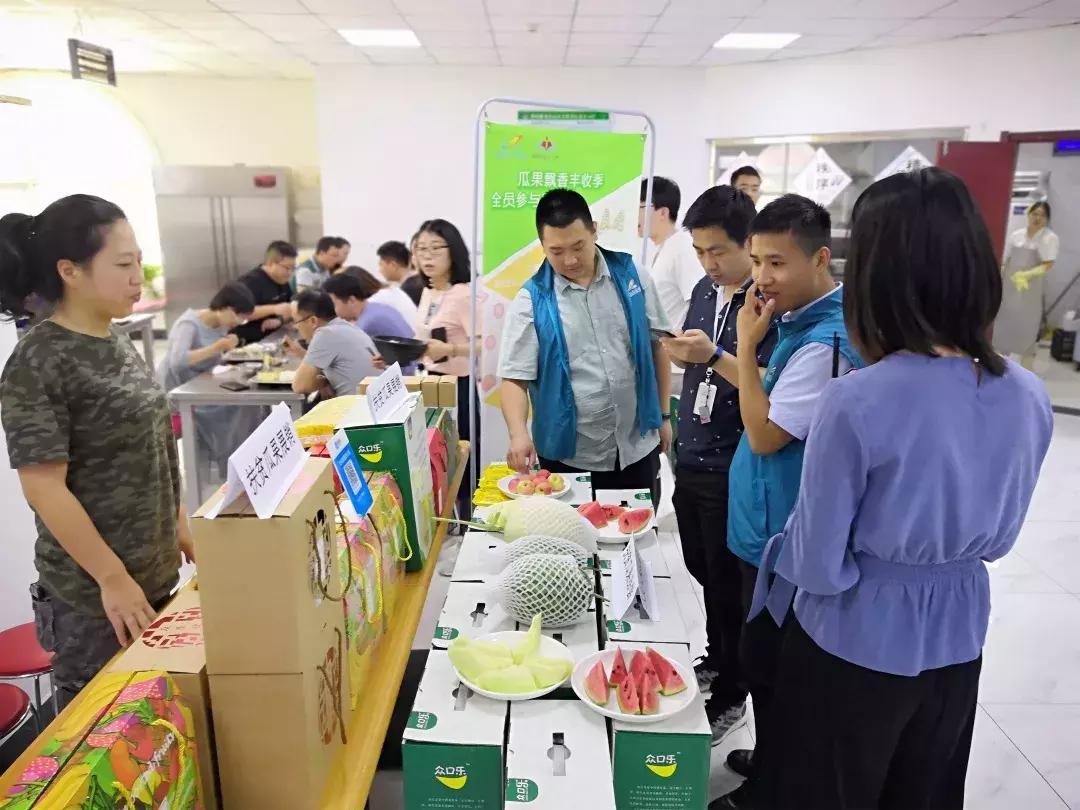 新河县最新动态与资讯获取指南