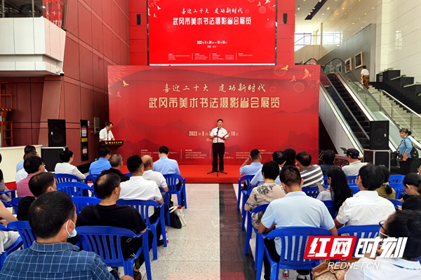 武冈最新科技新闻，革新先锋引领未来生活潮流