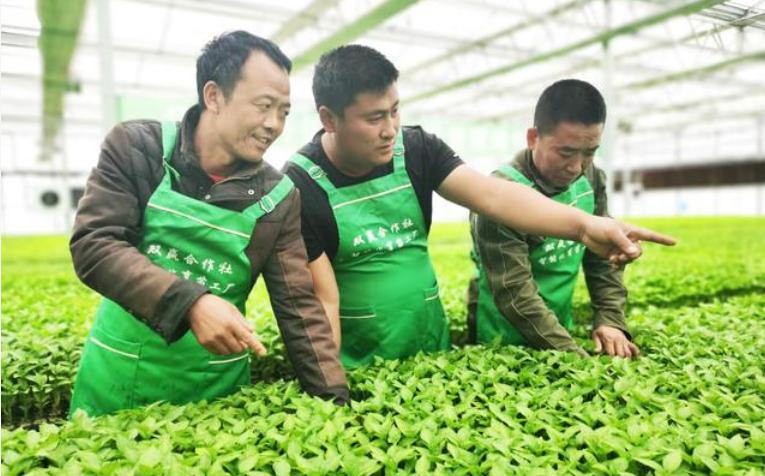 最新卫星参数表及其观点论述解析