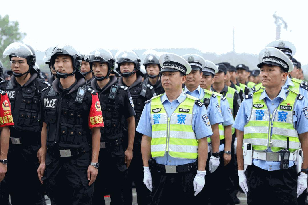 织里最新招聘信息揭秘，深度分析与个人洞察