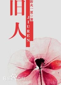 折火一夏最新小说，夏日温情故事