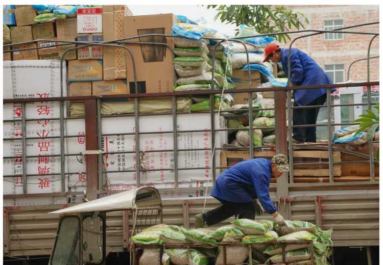 北京装卸工最新招聘信息及小巷深处的特色小店探秘