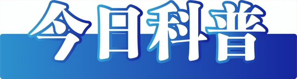 八号台风鲸鱼走向揭秘，追寻自然美景的轻松之旅