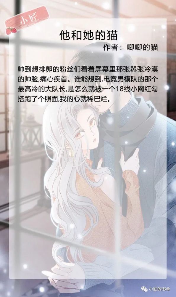 他与她的猫，温馨情感与时代印记的最新章节。