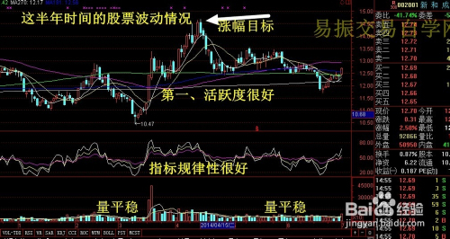 新和成股票最新动态，深度分析与观点阐述