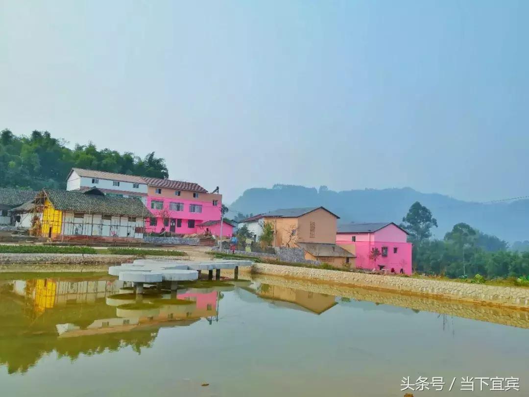 四川宜宾最新新闻，探寻自然之旅，心灵平静之旅启程
