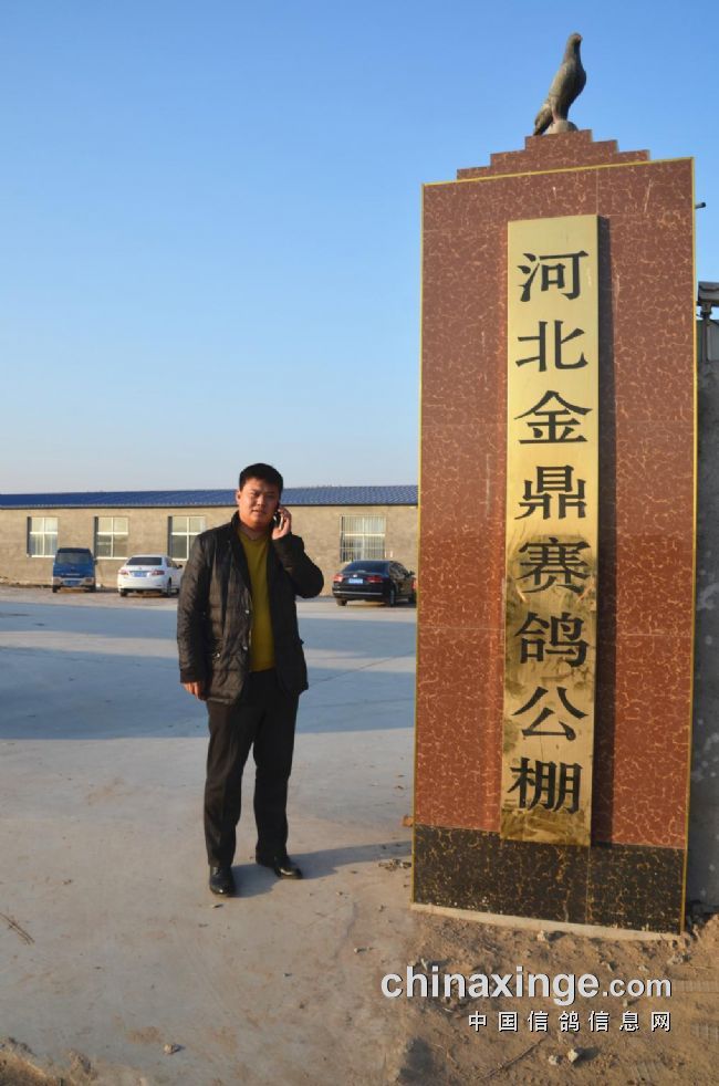 河北金鼎公棚启航新征程，成就梦想之路的最新公告