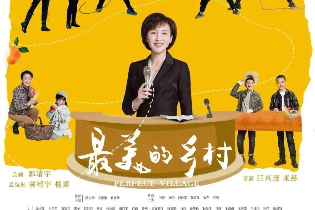 最新农村电视剧